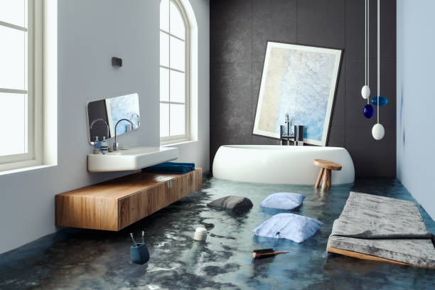 Best Mold removal after water damage  in Ashtabula, OH