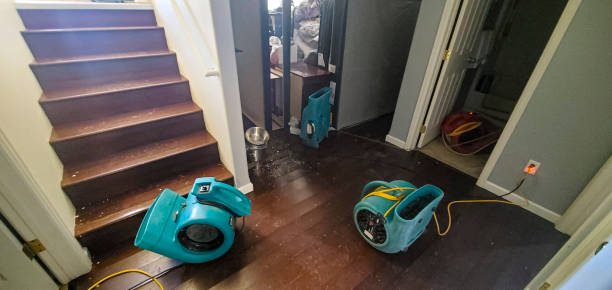 Best 24-hour water damage restoration  in Ashtabula, OH
