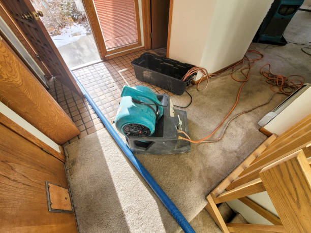 Best Professional water damage repair  in Ashtabula, OH
