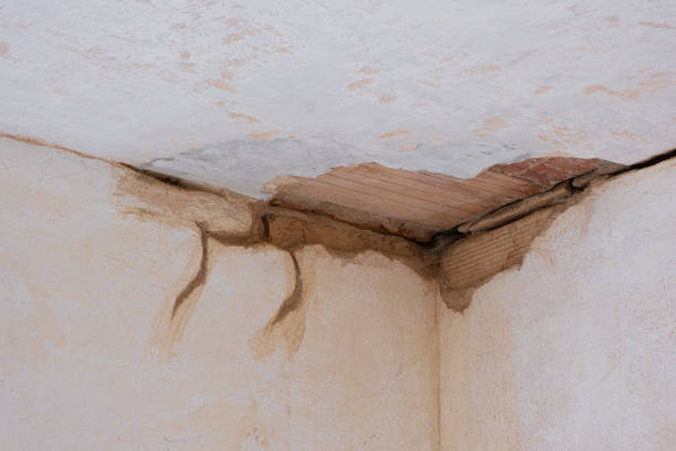 Best Carpet water damage restoration  in Ashtabula, OH