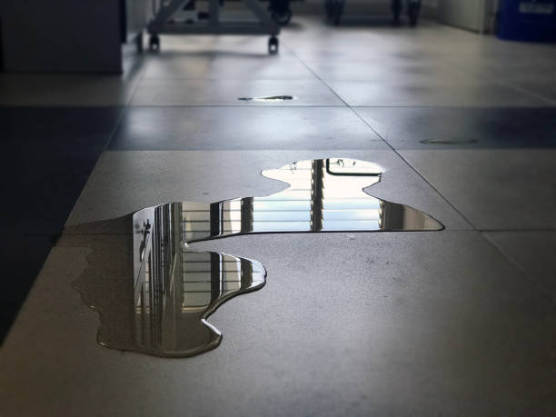 Best Local water damage restoration  in Ashtabula, OH