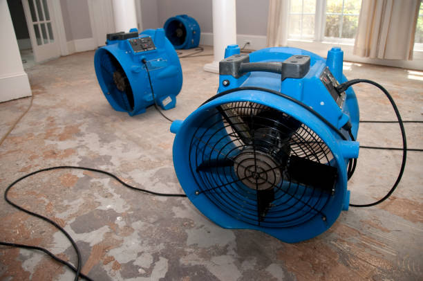 Best Residential water damage restoration  in Ashtabula, OH