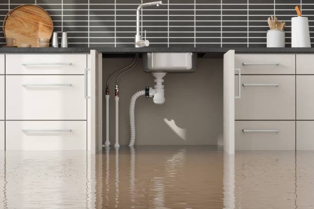 Best Flood restoration services  in Ashtabula, OH